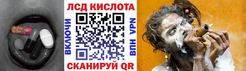 где продают наркотики  Пионерский  LSD-25 экстази ecstasy 